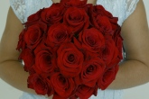 Rose Dozens