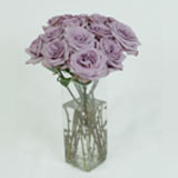 Rose Dozen Color