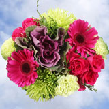 Christmas Bouquets Silent Night 8 Arrangements