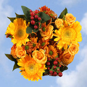Arrangement Wild Turkey 8 Bouquets