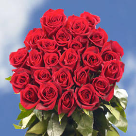 Black Magic Roses 200 Dark Red Roses