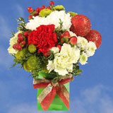 Christmas Flowers