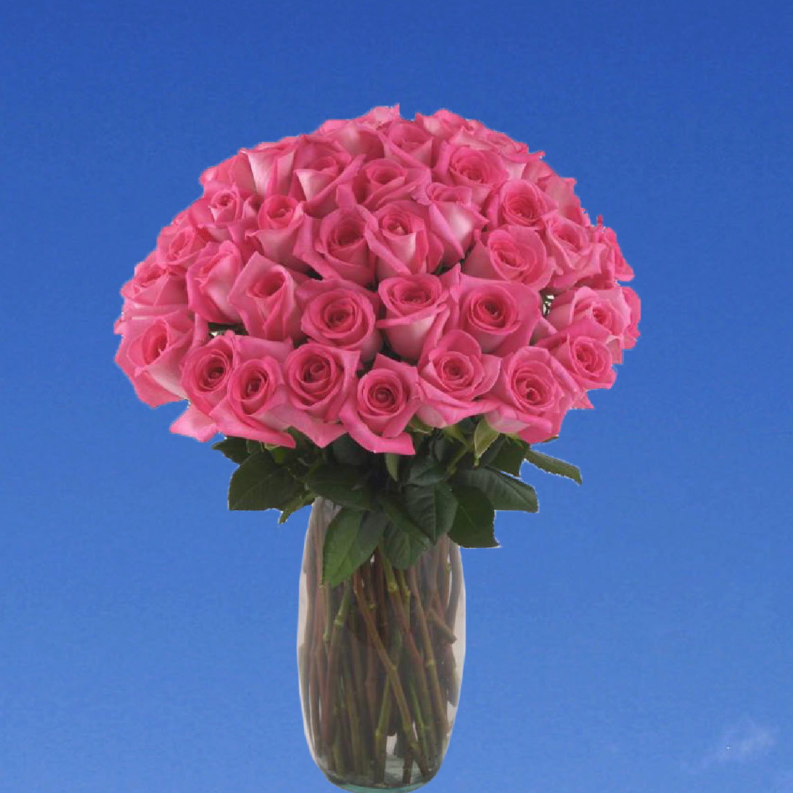 Sweet Delight 36 Pink Roses with Vase