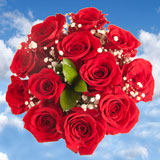 6 Long Stem  Dozen Red Elegant Roses  72 Roses & Fillers She Will Love Them