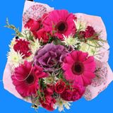 Bouquets Purple Christmas 7 Arrangements