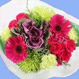 Christmas Bouquets Silent Night 8 Arrangements