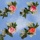 Mother's Day Single Color Roses