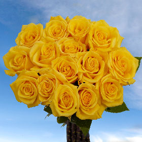 http://globalrose.com/Merchant5/graphics/00000001/best-gold-roses-globalrose-z.jpg