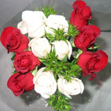Rose Dozen Bi-Color