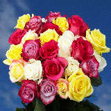 50 Assorted Roses Just Dazzling! 2 Different Colors