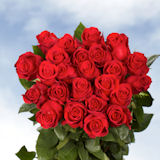 400 Stunning Red Roses - Next Day Delivery