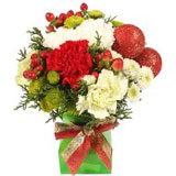Christmas Flowers