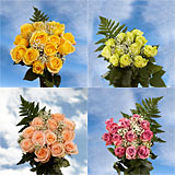 Rose Dozen Color