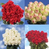 250 Red Roses Plus 250 Assorted Color Roses Great Deal