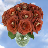 14 Dozen Assorted Color Roses