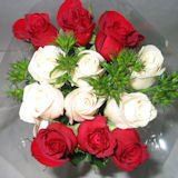8 Dozen  Red and White Roses