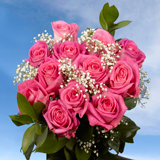 Dozen Roses