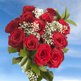 Dozen Red Roses
