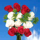 8 Dozen  Red and White Roses