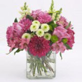 Everyday Flowers