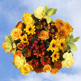 Arrangement Autumn Bouquet Delight 7 Bouquets