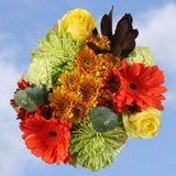Arrangement Changing Colors 9 Bouquets