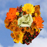 Arrangement Indian Summer 8 Bouquets