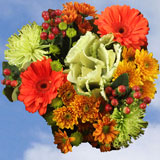 Fall Flowers