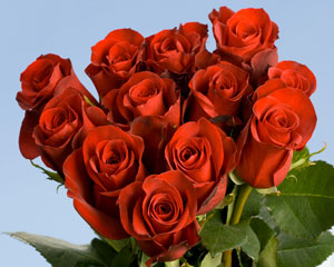 100 Red Roses Special Just Perfect
