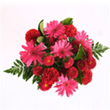 Valentine's Day Amoure