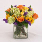 Just Because Flowers