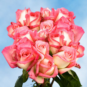 Laguna Roses Long 150