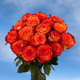 High & Magic Super Premium Roses 125