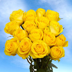 Latina Super Premium Roses 125