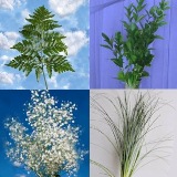 Mixed Greens Combo 30 Bunches