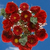 Mother's Day Admire