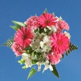 Mother's Day Appreciation