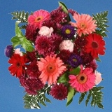 Mother's Day Mom's Best