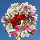 Mother's Day My favorite One