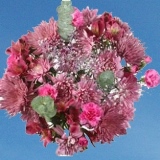 Mother's Day Purple Love