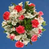 Mother's Day Thanks for Everything