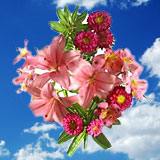 Mother's Day Admiration