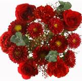 Mother's Day Admire