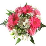 Mother's Day Appreciation