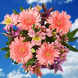 Mother's Day Devoted