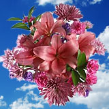 Mother's Day Passion