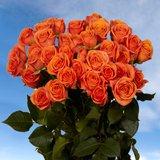 Orange Spray Roses