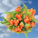 60 Orange Tulip Flowers