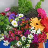 Extreme Delight Bouquets