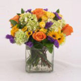 Fields Of Europe 25 Flowers With Vase